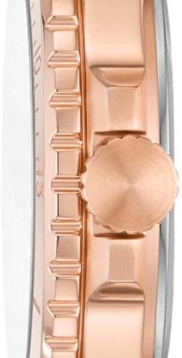 Наручные часы  Fossil  FB-01 Fossil ES5293 (фото 2)