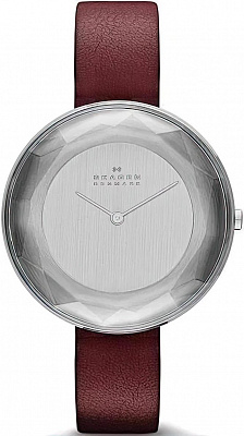 Наручные часы Skagen SKW2273