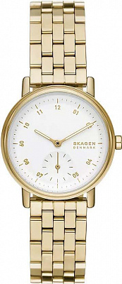 Наручные часы Skagen SKW3102