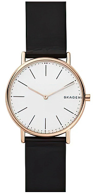 Skagen Leather SKW6430