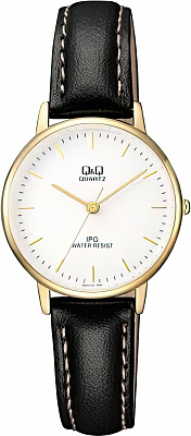 Q&Q Casual QZ01J101Y