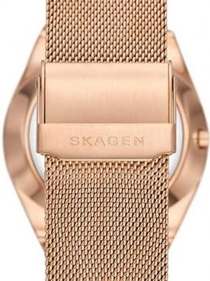 Наручные часы  Skagen  GRENEN Skagen SKW6818 (фото 2)