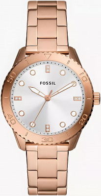 Fossil Dayle BQ3886