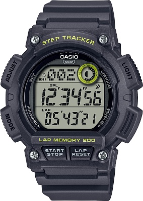 Casio Collection WS-2100H-8A