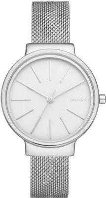 Наручные часы  Skagen  Steel Women Skagen SKW2478 (фото 1)