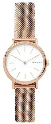 Skagen Steel Women SKW2694