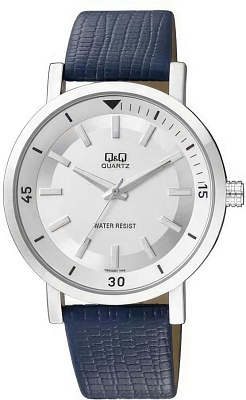 Q&Q Casual Q892J301Y
