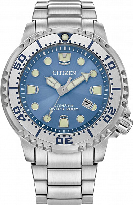 Наручные часы Citizen BN0165-55L