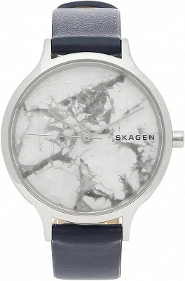 Наручные часы Skagen SKW2719