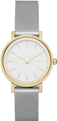 Skagen Steel Women SKW2445
