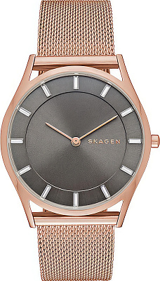 Skagen Steel Women SKW2378