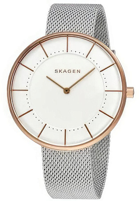 Skagen Steel Women SKW2583