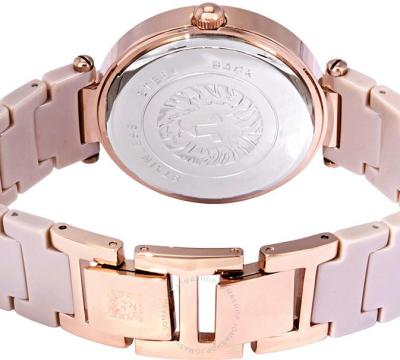 Наручные часы  Anne Klein  Ceramic Anne Klein 1018RGTN (фото 3)