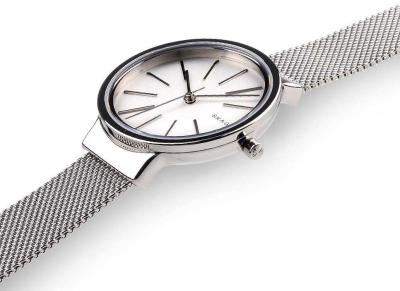 Наручные часы  Skagen  Steel Women Skagen SKW2478 (фото 2)