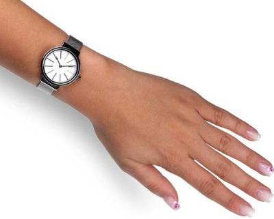 Наручные часы  Skagen  Steel Women Skagen SKW2478 (фото 3)