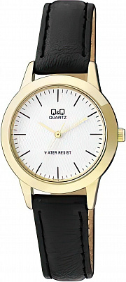Q&Q Casual Q947J101Y