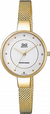 Q&Q Casual QA17J001Y