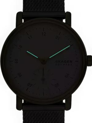 Наручные часы  Skagen  Kuppel Skagen SKW3101 (фото 3)