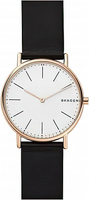 Skagen Leather SKW6430