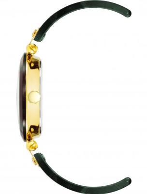 Наручные часы  Anne Klein  Plastic Anne Klein 9652GMGN (фото 2)