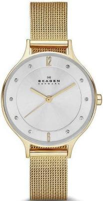 Наручные часы  Skagen  Steel Skagen SKW2150 (фото 1)