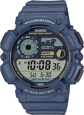 Casio Collection WS-1500H-2A