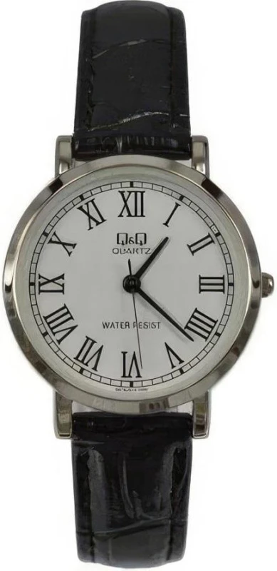 Q&Q Q979J813Y