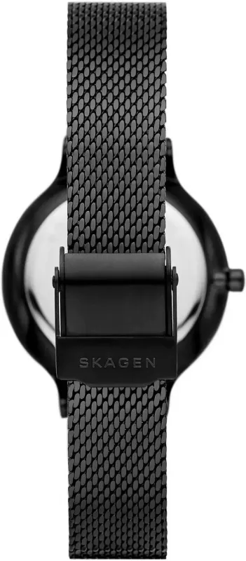 Наручные часы  Skagen  Anita Skagen SKW3112 (фото 3)