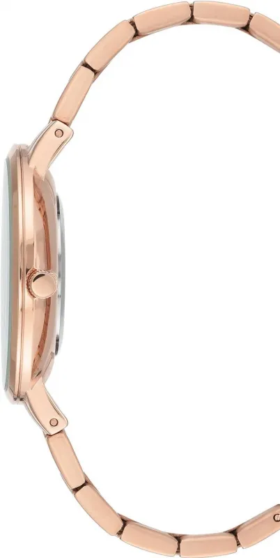 Наручные часы  Anne Klein  Steel Anne Klein 3618RGRG (фото 2)