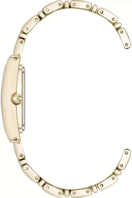 Anne Klein 5168CHGB