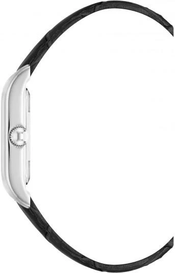 Наручные часы  Anne Klein  Leather Anne Klein 3889SVBK (фото 2)