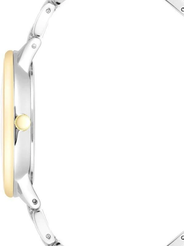 Наручные часы  Anne Klein  Steel Anne Klein 3877SVTT (фото 2)