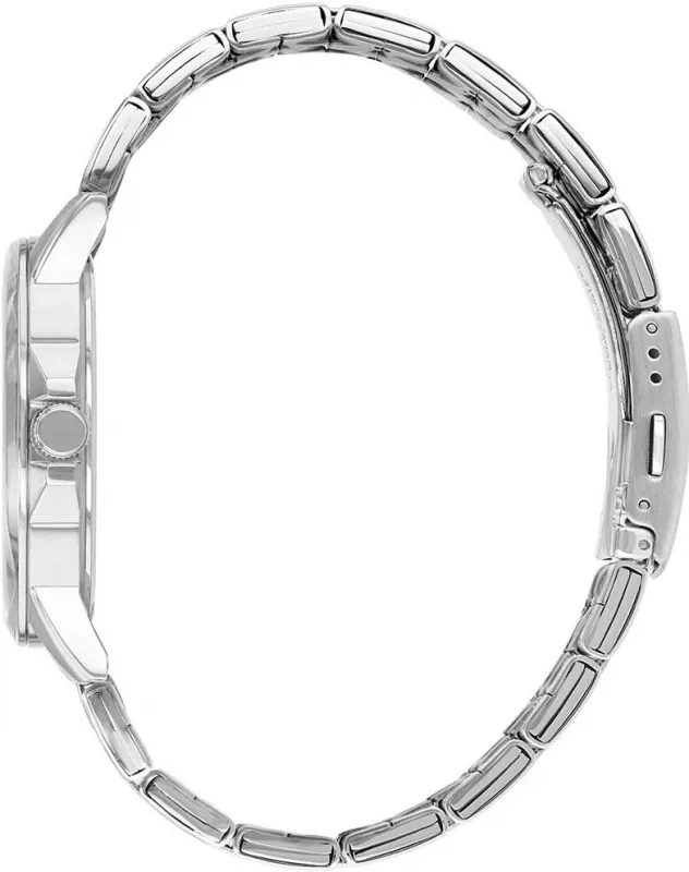 Наручные часы  Citizen  Quartz Citizen BF2011-51E (фото 2)