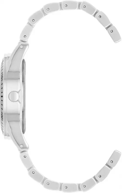 Наручные часы  Anne Klein  Ceramic Anne Klein 5069SVWT (фото 3)