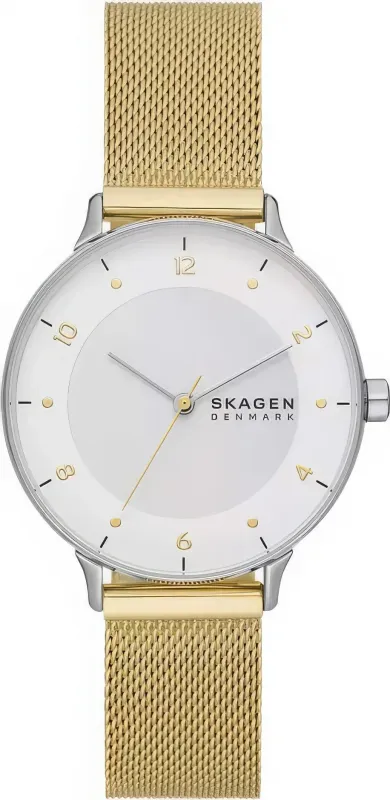 Наручные часы  Skagen  Riis Skagen SKW3092 (фото 1)