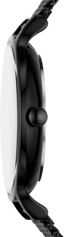 Наручные часы  Skagen  Anita Skagen SKW3112 (фото 2)