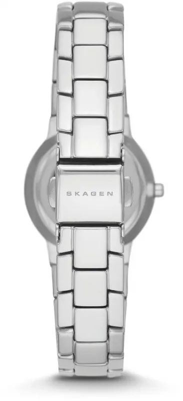 Наручные часы  Skagen  Steel Skagen SKW2180 (фото 2)
