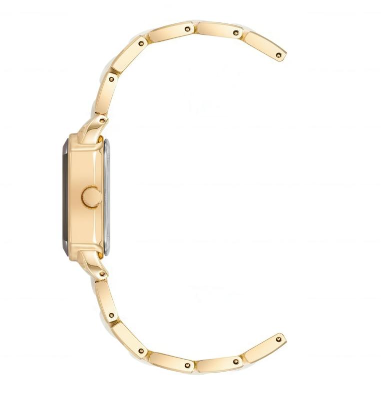 Наручные часы  Anne Klein  Ceramic Anne Klein 5010GPWT (фото 3)