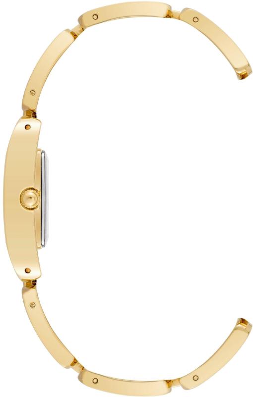 Наручные часы  Anne Klein  Ceramic Anne Klein 4068GPMV (фото 2)