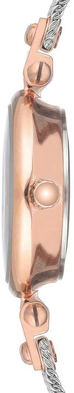 Наручные часы  Anne Klein  Steel Anne Klein 3003SVRT (фото 4)