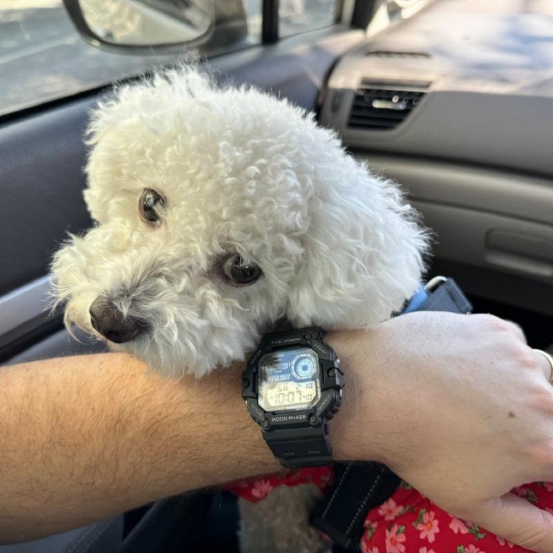 Наручные часы  Casio  Sports Casio WS-1700H-1A (фото 3)