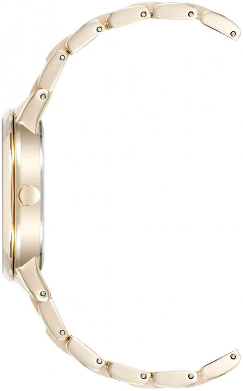 Наручные часы  Anne Klein  Plastic Anne Klein 1412IRGB (фото 2)