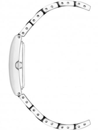 Наручные часы  Anne Klein  Steel Anne Klein 3999BKSV (фото 2)