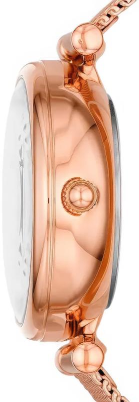 Наручные часы  Fossil  Carlie Mini Fossil ME3188 (фото 2)