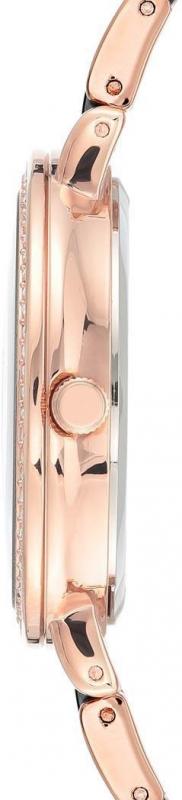 Наручные часы  Anne Klein  Ceramic Anne Klein 3810BKRG (фото 2)