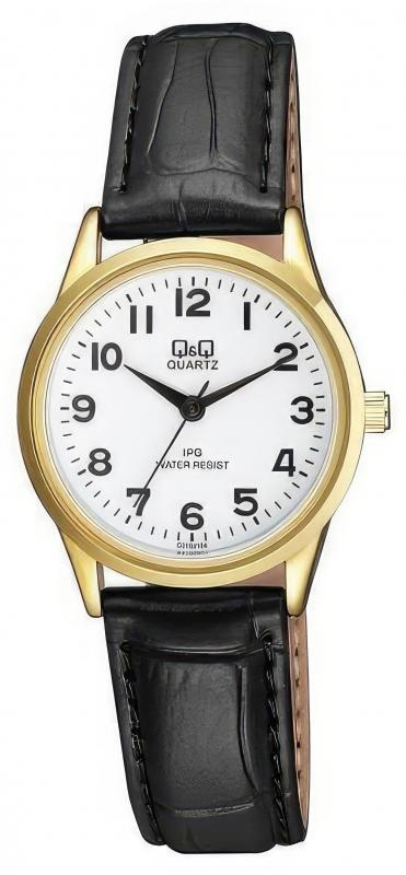 Наручные часы  Q&Q Q&Q C215J104Y (фото 1)