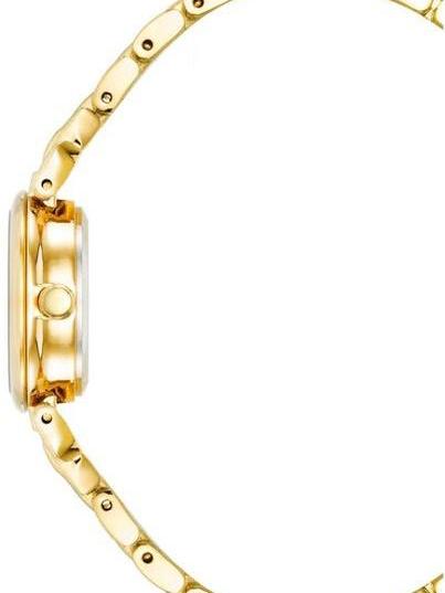 Наручные часы  Anne Klein  Box Set Anne Klein 4144GPST (фото 3)